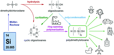 Graphical abstract: Industrial synthesis of reactive silicones: reaction mechanisms and processes