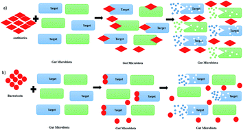 Graphical abstract: Application of bacteriocins in food preservation and infectious disease treatment for humans and livestock: a review