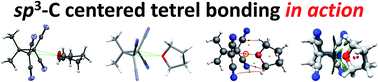 Graphical abstract: Observations of tetrel bonding between sp3-carbon and THF