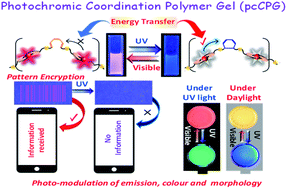 Graphical abstract: Photo-modulated wide-spectrum chromism in Eu3+ and Eu3+/Tb3+ photochromic coordination polymer gels: application in decoding secret information