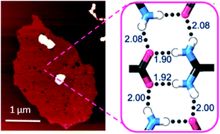 Graphical abstract: Monolayer nanosheets formed by liquid exfoliation of charge-assisted hydrogen-bonded frameworks