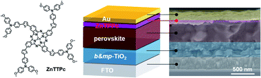 Graphical abstract: Molecularly engineered thienyl-triphenylamine substituted zinc phthalocyanine as dopant free hole transporting materials in perovskite solar cells