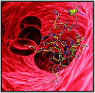 Graphical abstract: Aggregation propensity of therapeutic fibrin-homing pentapeptides: insights from experiments and molecular dynamics simulations