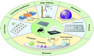 Graphical abstract: Bioinspired wettable–nonwettable micropatterns for emerging applications