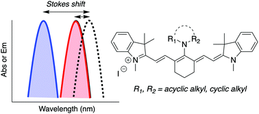 Graphical abstract: General strategy for tuning the Stokes shifts of near infrared cyanine dyes