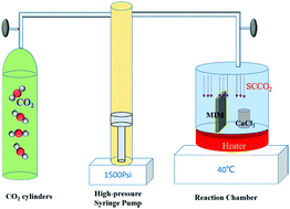 Graphical abstract: A supercritical removal method: the rapid elimination of impurities in polymethyl-methacrylate at near room temperature and a mechanism investigation of insulating property improvements