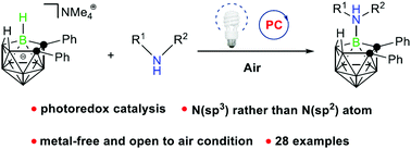 Graphical abstract: Photoredox B–H functionalization to selective B–N(sp3) coupling of nido-carborane with primary and secondary amines