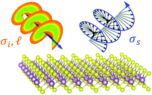 Graphical abstract: Selection rule for Raman spectra of two-dimensional materials using circularly-polarized vortex light