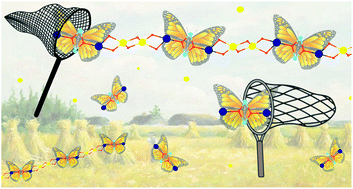 Graphical abstract: Two types of Ln2Cu2 hydroxo-trimethylacetate complexes with 0D and 1D motifs: synthetic features, structural differences, and slow magnetic relaxation