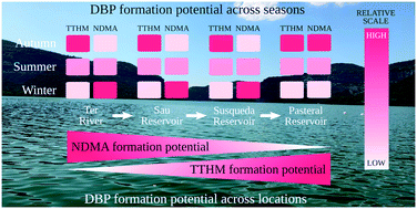 Graphical abstract: Drivers of variability in disinfection by-product formation potential in a chain of thermally stratified drinking water reservoirs