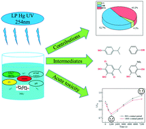 Graphical abstract: UV light irradiation combined with nitrate for degradation of bisphenol A: kinetics, transformation pathways, and acute toxicity assessment