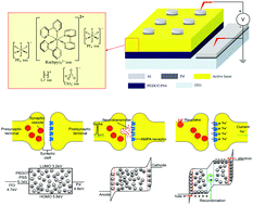 Graphical abstract: Emulating the short-term plasticity of a biological synapse with a ruthenium complex-based organic mixed ionic–electronic conductor