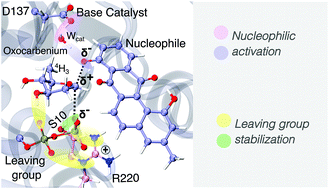 Graphical abstract: The inverting mechanism of the metal ion-independent LanGT2: the first step to understand the glycosylation of natural product antibiotic precursors through QM/MM simulations