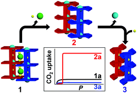 Graphical abstract: Solvent-mediated framework flexibility of interdigitated 2D layered metal–organic frameworks