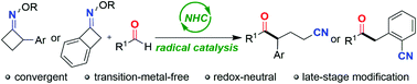 Graphical abstract: N-Heterocyclic carbene-catalyzed radical ring-opening acylation of oxime esters with aldehydes