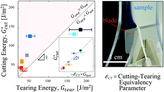 Graphical abstract: On the relationship between cutting and tearing in soft elastic solids