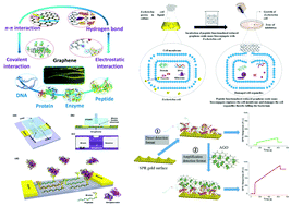 Graphical abstract: Recent advances in the synthesis and applications of graphene–polypeptide nanocomposites