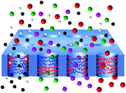 Graphical abstract: Pushing the limits of nanopore transport performance by polymer functionalization