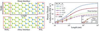 Graphical abstract: Thermal properties of single-layer MoS2–WS2 alloys enabled by machine-learned interatomic potentials