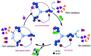 Graphical abstract: Catalytic machinery in motion: controlling catalysis via speed