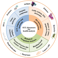 Graphical abstract: Recent advances and challenges in developing electrochemiluminescence biosensors for health analysis