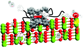 Graphical abstract: On surface chemical reactions of free-base and titanyl porphyrins with r-TiO2(110): a unified picture