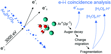 Graphical abstract: Efficient neutralization of core ionized species in an aqueous environment