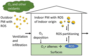 Graphical abstract: Partitioning of reactive oxygen species from indoor surfaces to indoor aerosols