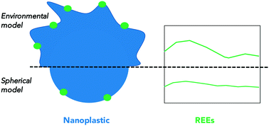 Graphical abstract: Metal-binding processes on nanoplastics: rare earth elements as probes