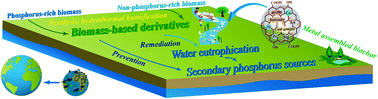Graphical abstract: Advances in biomass thermochemical conversion on phosphorus recovery: water eutrophication prevention and remediation