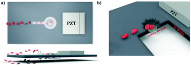 Graphical abstract: A star shaped acoustofluidic mixer enhances rapid malaria diagnostics via cell lysis and whole blood homogenisation in 2 seconds