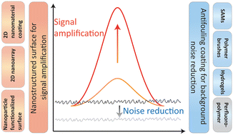 Graphical abstract: Surface modification for improving immunoassay sensitivity