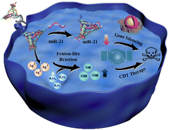 Graphical abstract: Multifunctional DNA nanoprobe for tumor-targeted synergistic therapy by integrating chemodynamic therapy with gene silencing