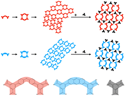 Graphical abstract: The self-assembly of a pair of low-symmetry tetracarboxylic acid molecules and their co-assembly with bridging molecules at the liquid–solid interface