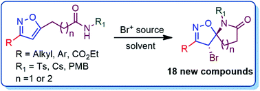 Graphical abstract: Bromo-lactamization of isoxazole via neighboring group participation: toward spiro-isoxazoline γ- and δ-lactams