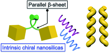Graphical abstract: Chiral molecular nanosilicas