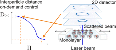 Graphical abstract: Compression of colloidal monolayers at liquid interfaces: in situ vs. ex situ investigation