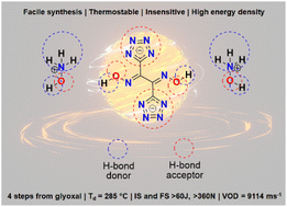 Graphical abstract: Increasing the limits of energy and safety in tetrazoles: dioximes as unusual precursors to very thermostable and insensitive energetic materials