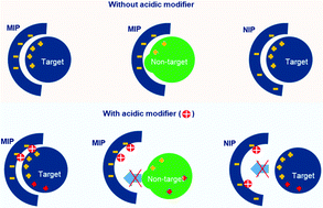 Graphical abstract: Specific recognition of a target protein, cytochrome c, using molecularly imprinted hydrogels