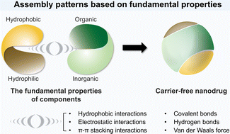 Graphical abstract: Multicomponent carrier-free nanodrugs for cancer treatment