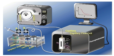 Graphical abstract: On-line monitoring of a recirculating-flow fluorescent capillary system for exploring the interaction mechanism of carbon dots/metal ions