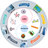 Graphical abstract: Advances in colorimetric aptasensors for heavy metal ion detection utilizing nanomaterials: a comprehensive review