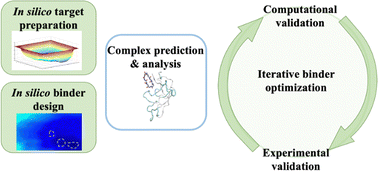Graphical abstract: Unlocking novel therapies: cyclic peptide design for amyloidogenic targets through synergies of experiments, simulations, and machine learning