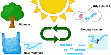 Graphical abstract: Designing biodegradable alternatives to commodity polymers