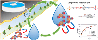 Graphical abstract: Green chemistry: advancing planetary phosphorus sustainability through the synergy of graphene oxide modified with magnetic nanoparticles (M@GO) for extracting tertiary effluent phosphorus in sewage treatment plants