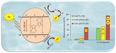 Graphical abstract: Mechanistic investigation of the photocatalytic activity of PEDOT for aqueous contaminant removal: the role of iron and hydroxyl radicals