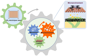 Graphical abstract: Reaction microenvironment control in membrane electrode assemblies for CO2 electrolysis