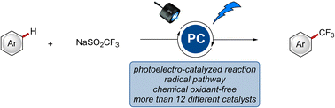 Graphical abstract: Photoelectrocatalyzed undirected C–H trifluoromethylation of arenes: catalyst evaluation and scope