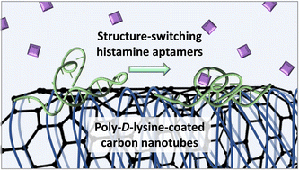 Graphical abstract: Polymeric integration of structure-switching aptamers on transistors for histamine sensing