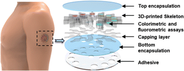 Graphical abstract: 3D-printed epidermal sweat microfluidic systems with integrated microcuvettes for precise spectroscopic and fluorometric biochemical assays